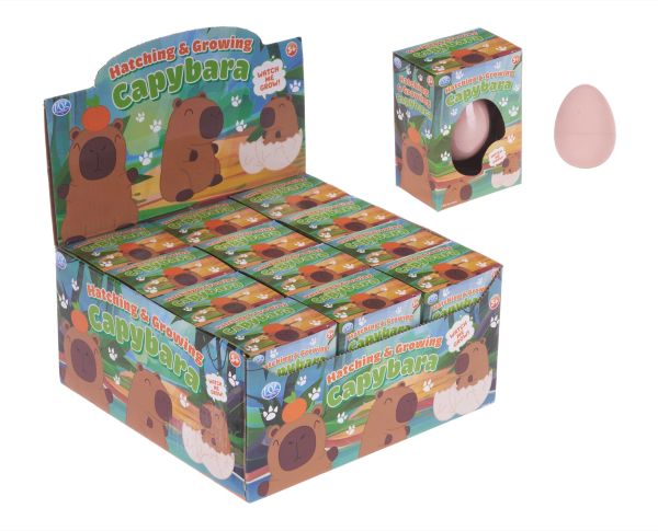 CAPIBARA Hatching Growing Capibara (Uova da Cova – Capibara) cm In espo da 12PZ…x12…x144